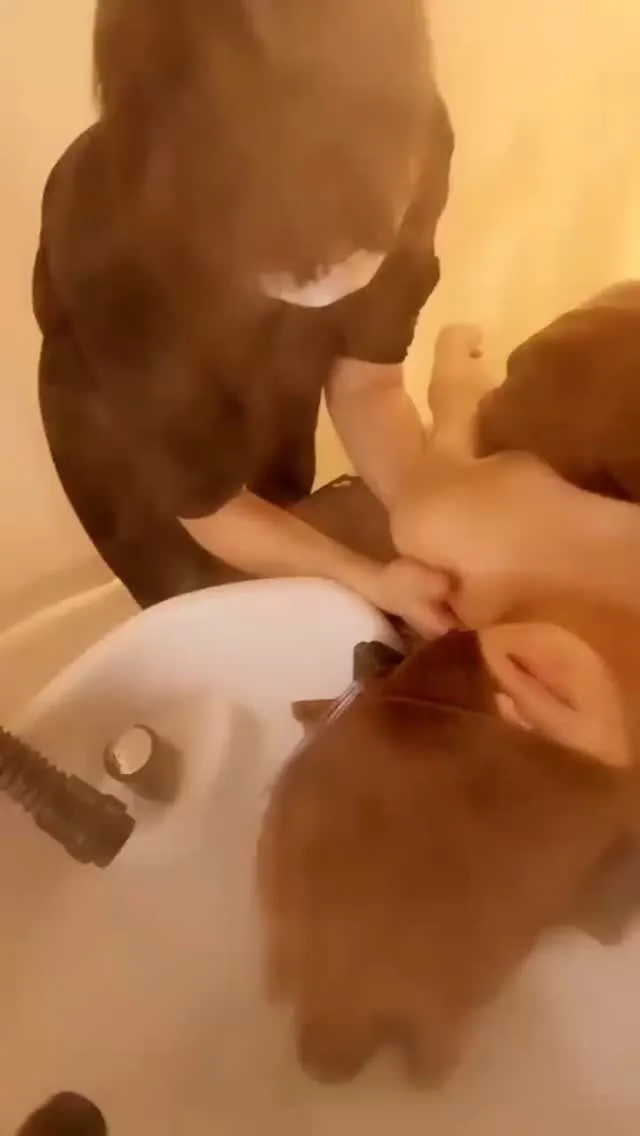 こんにちは！